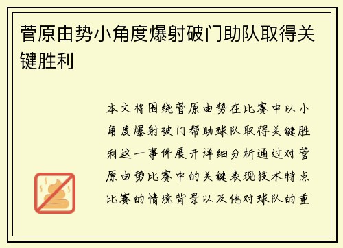 菅原由势小角度爆射破门助队取得关键胜利 菅原由势小角度爆射破门助队取得关键胜利